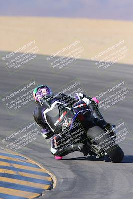 media/Nov-12-2023-SoCal Trackdays (Sun) [[5d1fba4e7d]]/Turn 10 Backside (115pm)/